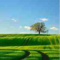 php开​发‍文﻿档‍官﻿网‍